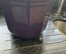 Planter Purple colour