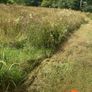 Mulching service Image 3