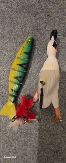 Fishing