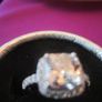 Sterling Silver Halo Style Ring Image 5