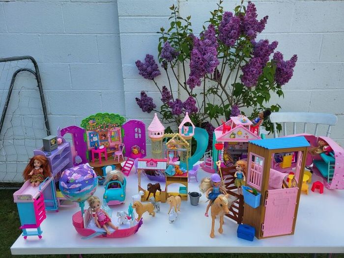Barbie shelly dolls