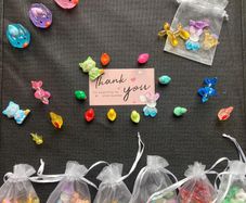 Random Mixed Colour Resin Animal Charms