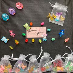 Random Mixed Colour Resin Animal Charms