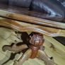 antique table Image 8