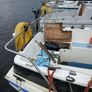 Sail boat new bridge navigator 20ft Image 3