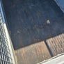 Ifor Williams Trailer 6ft6x4ft Image 5