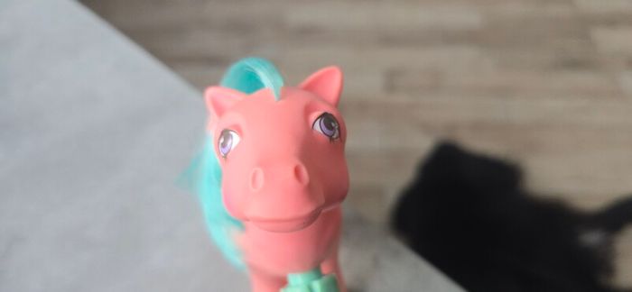 Songster Dance N Prance Ponies (hair trim) MLP G1 My Little Pony