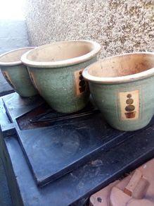 Tree Pots Large