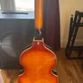 Epiphone Viola Bass + TC Electronics Combo Image 4