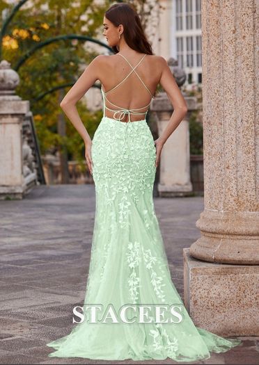Stacees Prom Dress