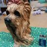 Dog ornament Image 2