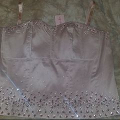 BNWT Simply Be embroidered plus size dusty pink corset size UK26 EU54 Postage included