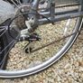 large gents bike Image 2