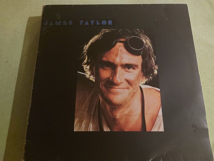 James Taylor - Dada Loves His Work - Vinyl Record + Hundreds More
