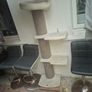 cat tower Image 2