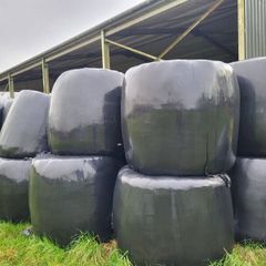Silage, very good quality