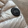 canada goose Image 4
