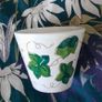 Plant Pot - Italian - Ivy Leaf Image 5