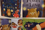 The Power of Love by Caroline Richards hardback book
