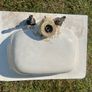 Original Antique Victorian Shanks Toilet Sink Basin Image 7