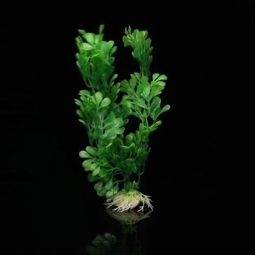 Aquarium decoration