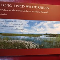 A Long-Lived Wilderness/ The Future of the North Midlands Peatland Network/ John Feehan/ 2005