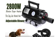 2800W Pets Blow Dryer For Dogs Animals Grooming Hair Dryer Pet Shop Powerful Modelable Hair Dryers with 3 nozzles