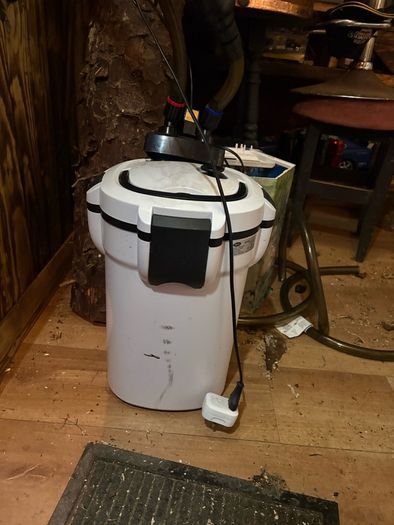 betta fish tank filters