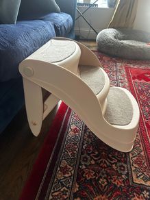 dog steps