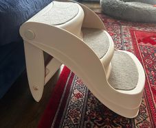 dog steps