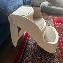 dog steps