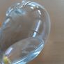 Wedgwood glass duck Image 3