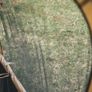 Robens Settler Field Bell Tent 6 Person Bell Tent New Image 7