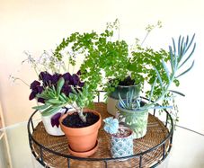 Vintage Wicker and Iron Large Tray, Home Decor Display