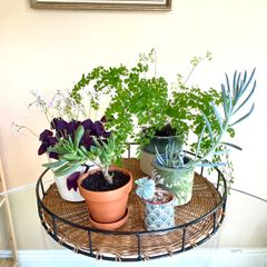 Vintage Wicker and Iron Large Tray, Home Decor Display