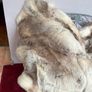 deer skin Image 4