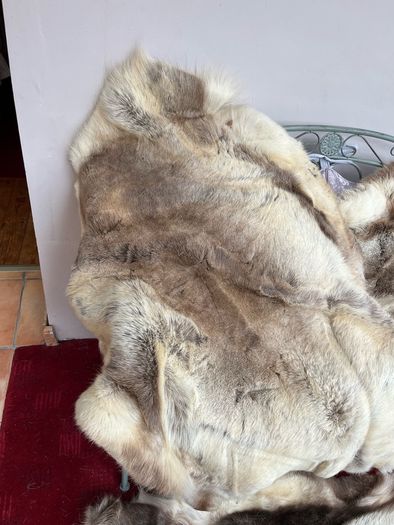 deer skin