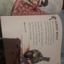 My first Book of Garden Birds Image 2