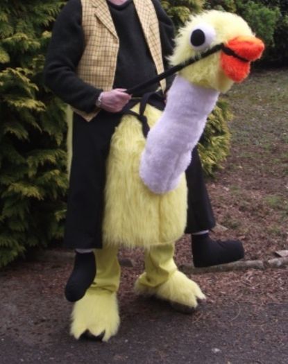 Fancy dress David Brent Emu adult costume