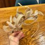 Coast Blush Fascinator Image 2