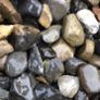 Garden Pebble Image 6