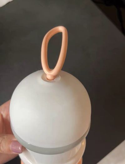 Formula and snacks Container