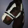hobby horse Image 3