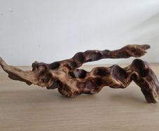 driftwood