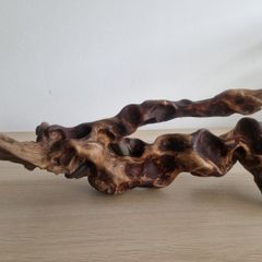 driftwood