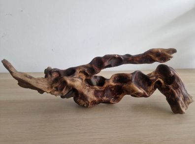 driftwood