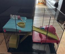 Humster Cage