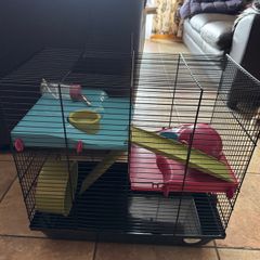 Humster Cage