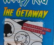 6 diary of a wimpy kid books