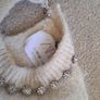 Zara Rhinestone Flower Jumper cream 10-11 Image 3